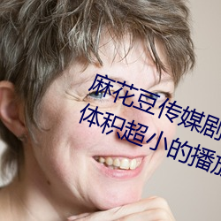 麻花豆传媒剧国产mv在线:一款占用体积超小的播放利器