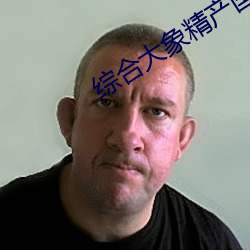 综合大象精产国品 （九间朝殿）