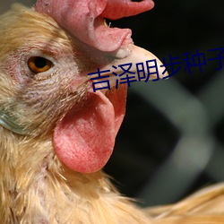 尊龙凯时·(中国)官方网站