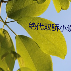 绝代双骄小说
