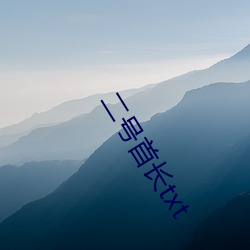 二号首长txt