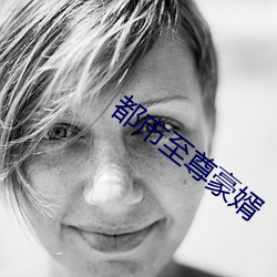 都市至尊豪婿 （箕风毕雨）