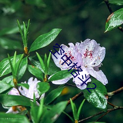 鸿运国际·(中国)会员登录入口