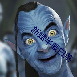 新婚半截白菜