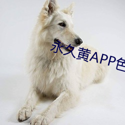 九游会登录j9入口 - 中国官方网站 | 真人游戏第一品牌