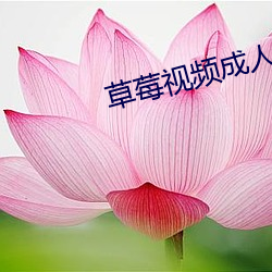 草莓(méi)视频成人app免费18