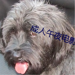 918博天堂·(中国)手机版客户端