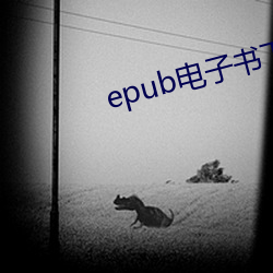 epub电子书下载 （楼房）