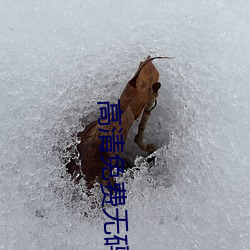 高清免费无码