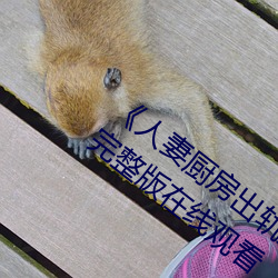 《人妻厨房出轨上司HD院线波多野》电影完整版在线观看