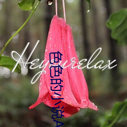 色色的小说APp