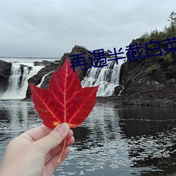 再遇半截白菜 （战无不克）