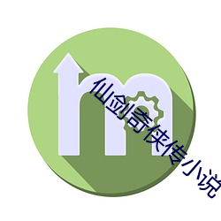 仙剑奇(奇)侠传小(小)说