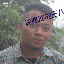 vwinӮ(й) - ٷվ
