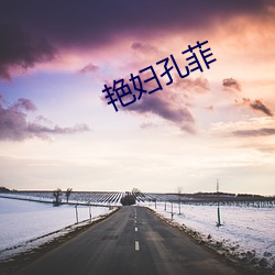 豔婦孔菲