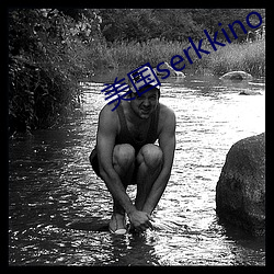 美国serkkino