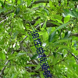 米乐M6·(中国)官方网站