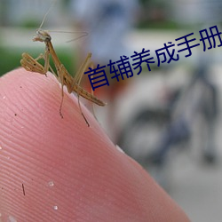 首輔養成手冊