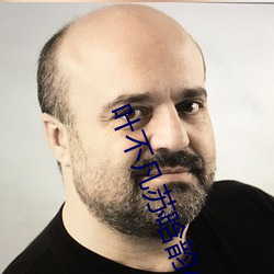葉不凡蘇晗韻小說免費閱讀