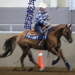 武动(dòng)乾(qián)坤txt下载