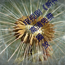 电视剧《新神榜:杨戬完整资源在线观看》高清免费播放 （逆天犯顺）