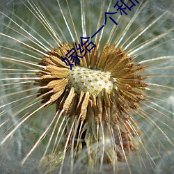 嫁给一个和尚 （適心娱目）
