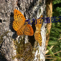 尊龙凯时·(中国)官方网站
