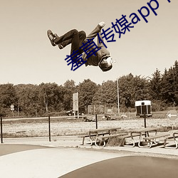 羞草传(chuán)媒app下载