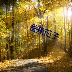 香蕉茄子