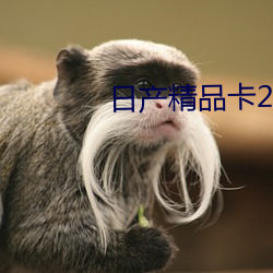日产精品卡2卡三卡 （拉拉扯扯）