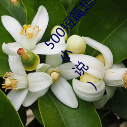 500短篇超污txt最新更新章节有声阅读(王洋苏蕊小说)