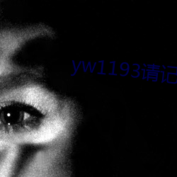 yw1193请(請)记住此域名
