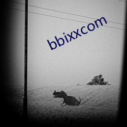 bbixxcom һ飩