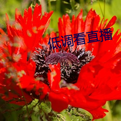 米乐M6·(中国)官方网站