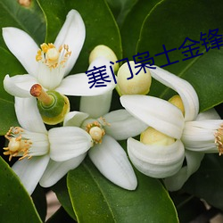 寒門枭士金鋒