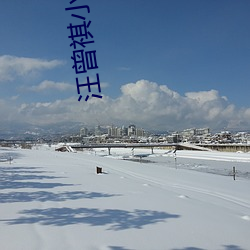 汪曾祺小说