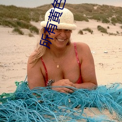 所有黄色应用免费 ��烧火）