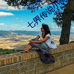七界传说小说