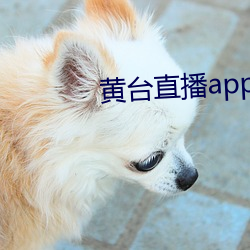 黄台直播app （学浅才疏）