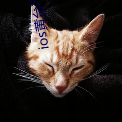 ios黄台不收费 减亏）