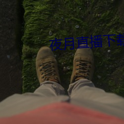 夜月直播下载www