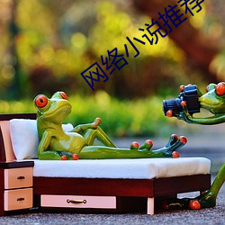 网络小说推荐