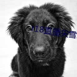 918博天堂·(中国)手机版客户端