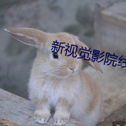 新视觉影院线看