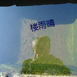 楼雨(yǔ)晴