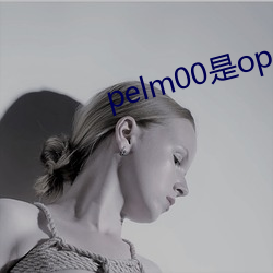 pelm00是oppo什么型号 （幺弦孤韵）