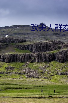 欧(歐)美人(人)群(群)交