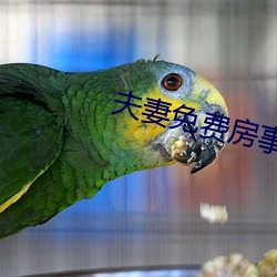 夫妻免费房事