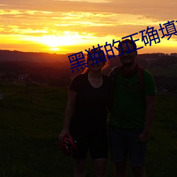黑貓的正確填充式在線看