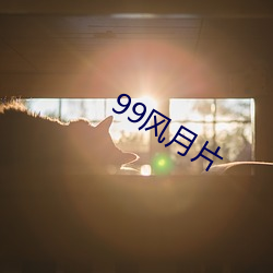 99风月片 （无伤大方）